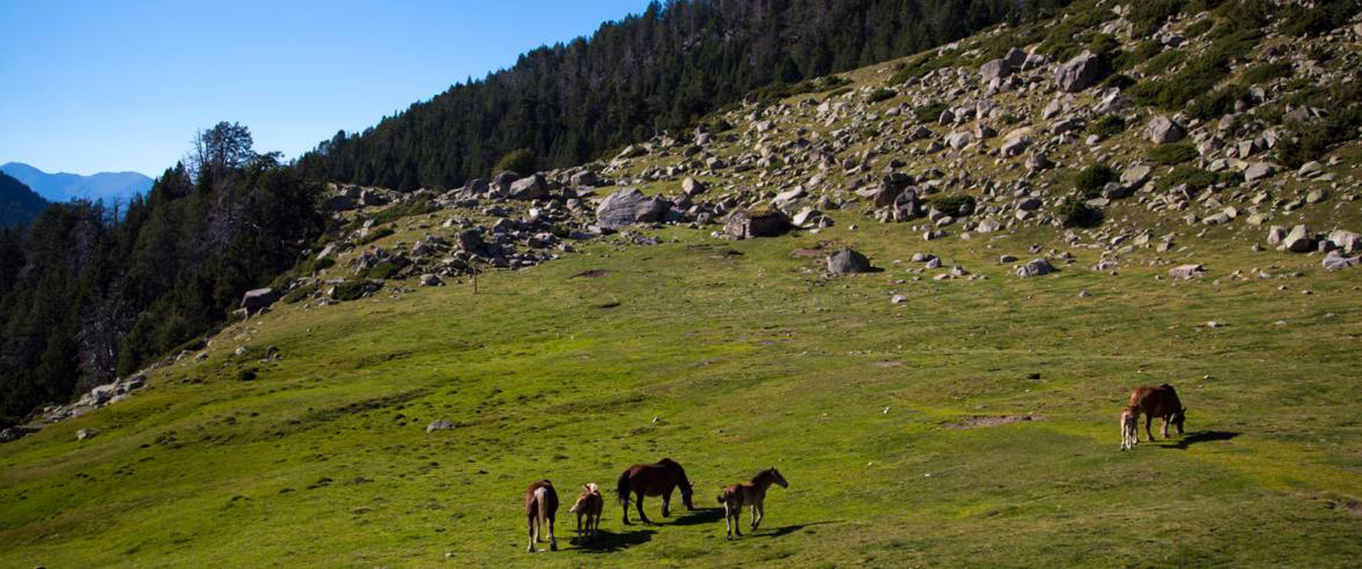 La natura t'espera Ushuaia The Mountain Hotel  Arinsal